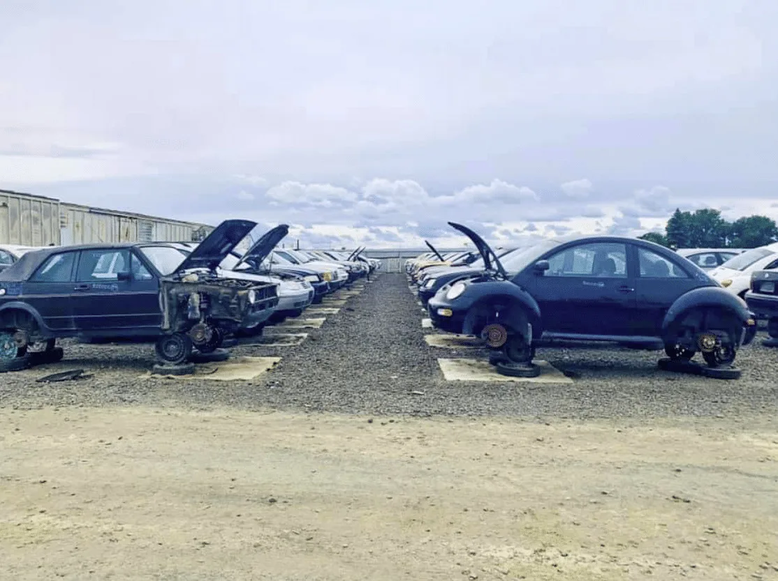 Imagen del artículo: Así es buscar una parte en un deshuesadero de carros - Junk car Usa